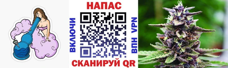 Сколько стоит Задонск Alpha-PVP  Меф мяу мяу  Гашиш  Кокаин 