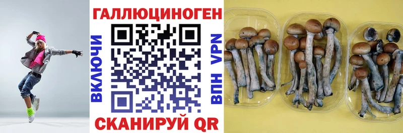 Псилоцибиновые грибы Magic Shrooms  Задонск 